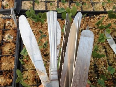 Kitchen Knives as Garden Trowels Image